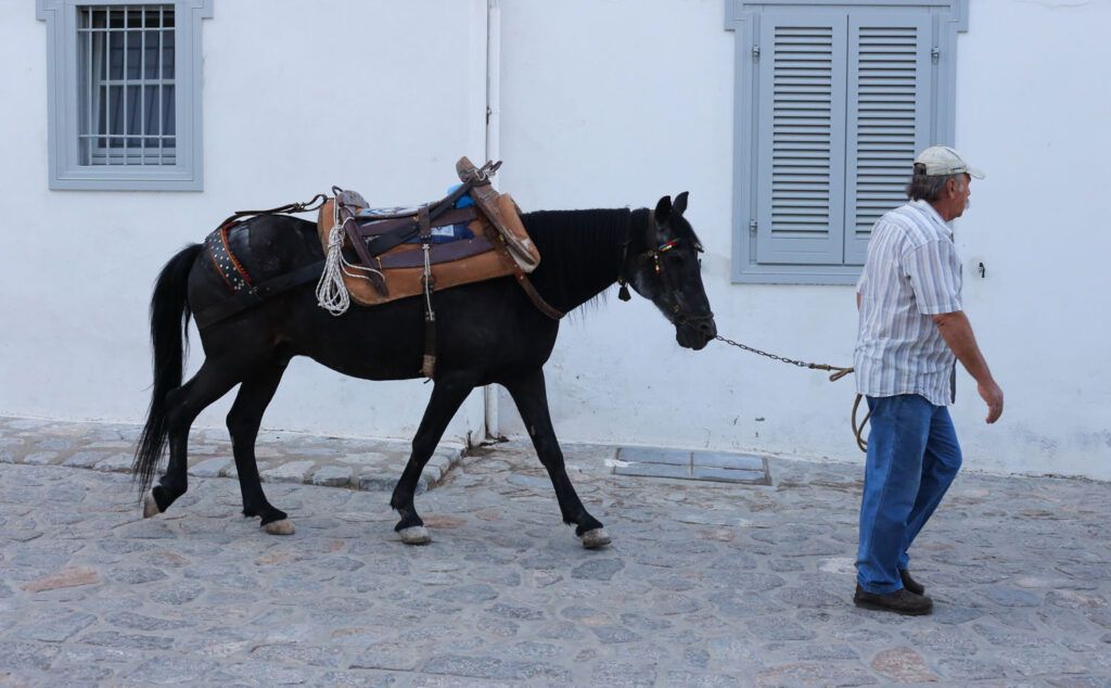 Destination Gamos Stin Ydra (4)