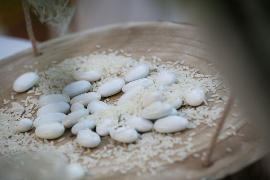 Fotografisi Gamou Sto Ktima Erofili (3)